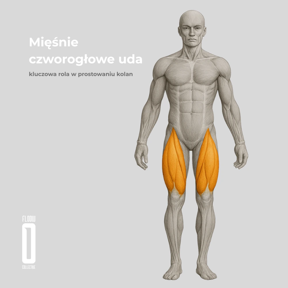 miesien czworogłowy jazda na rolkach
