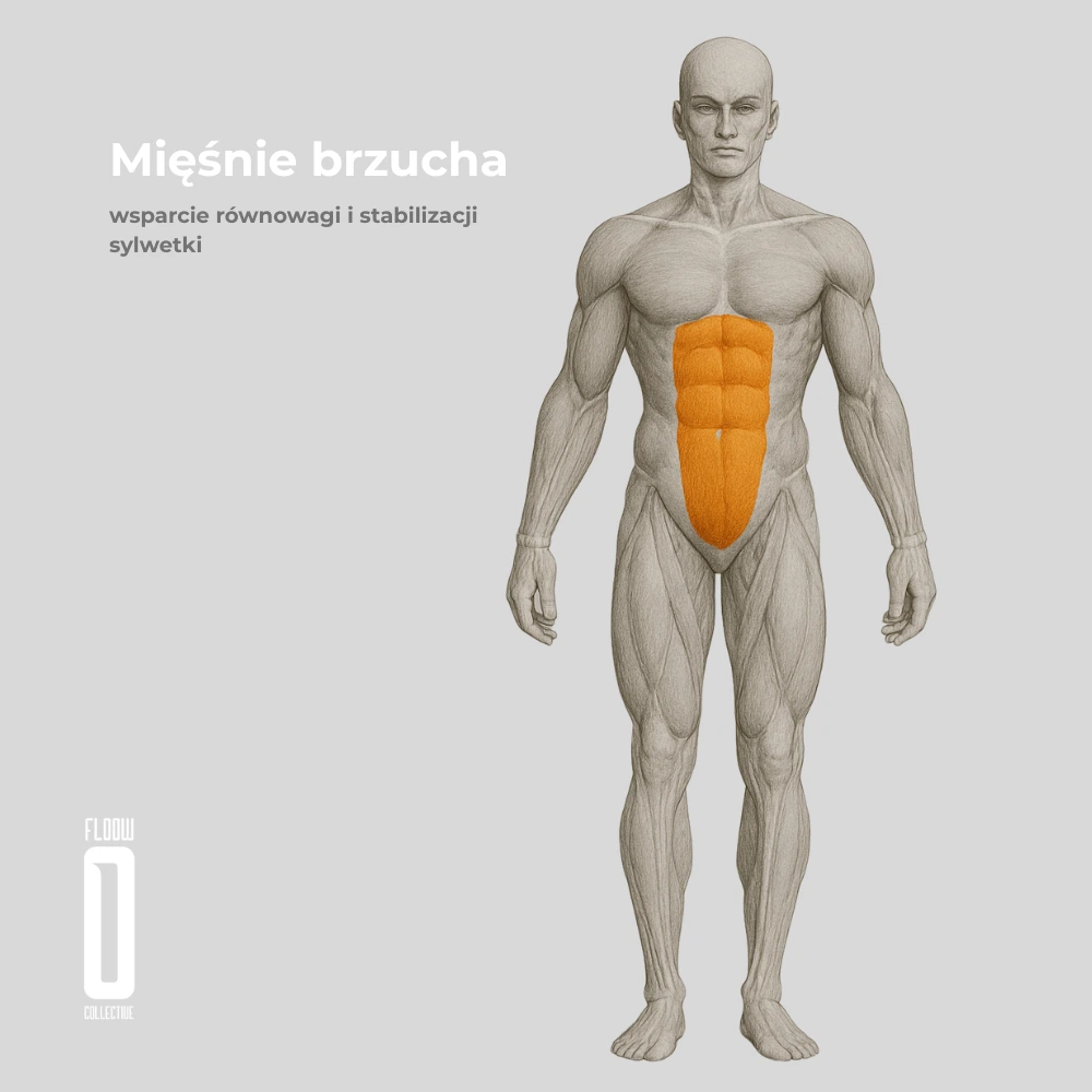 miesnie brzucha jazda na rolkach