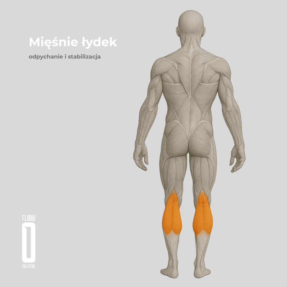 Mięśnie łydek jazda na rolkach